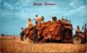 Postkarte Jesup Georgia GA Haying Time - Bild 1 von 2