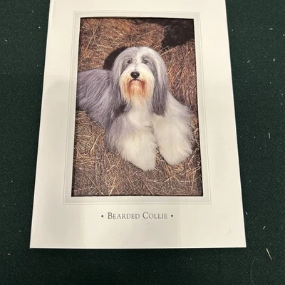 Набор из 5 поздравительных открыток с бородатым колли от Otter House Великобритания - Изображение 1 из 3