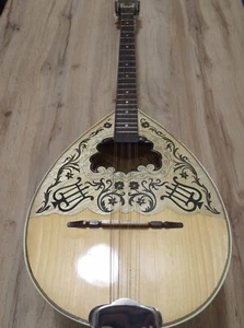 Greek Bouzouki with SOFTCASE & PICK UP & 300 BACKING TRACK WITH SCORES - Picture 1 of 10