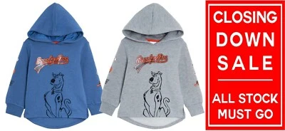 Скуби Ду толстовка Kids с капюшоном Верхняя флисовая куртка толстовка джемпер свитер толстовка - Изображение 1 из 2