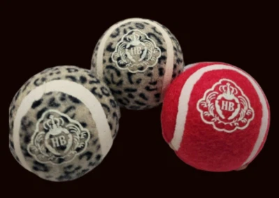 Набор из 3 сверхпрочных игровых мячей Harry Barker игрушки для собак с анималистическим принтом - Изображение 1 из 2