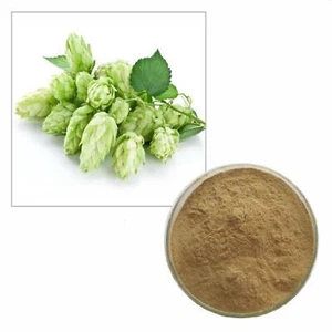100g Reines Hopfen Extrakt Pulver, 10: 1 Verhältnis - Bild 1 von 2