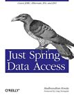 Just Spring Data Access: Covers Jdbc, Hibernate, Jpa And Jdo