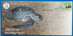 India Olive Ridley Turtles Special Cover 2019-ZZIAA - Picture 1 of 3