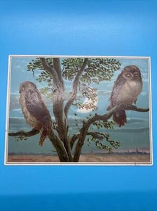 Seltene antike Eulen Weihnachtskarte Raphael Tuck & Sons Kunstserie Langbridge - Bild 1 von 9