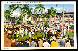 Miami Florida The Race Horse Walking Ring en Hialeah FL postal de lino sin usar - Imagen 1 de 2