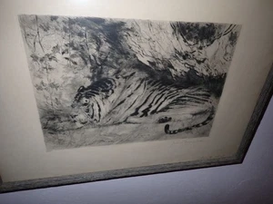 Grabado Wilhelm Kuhnert “Tigre en el mirador” impresión 59/100 firmado - Imagen 1 de 8