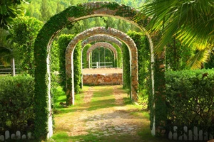 Fotomural-PÉRGOLA JARDÍN-(21P)-350x260cm-Impresión Digital 7 Caminos-con Pegamento - Imagen 1 de 1