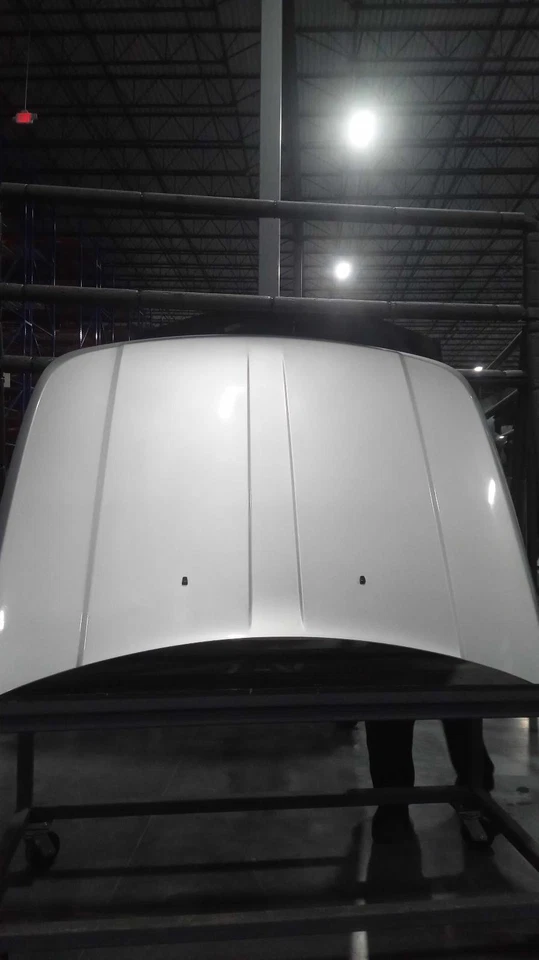 Capó usado se adapta a: Dodge Nitro Grade A 2011 Foto 1 de 4