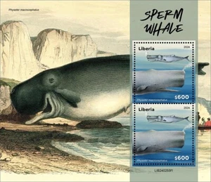 Liberia 2024 M/S Sperm whale MNH - Picture 1 of 1