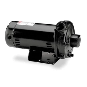 DAYTON 4RJ77 Pump,1-1/2 HP,3 Ph,208 to 240/480VAC 4RJ77 - Picture 1 of 1