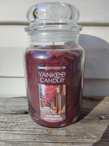 Yankee Candle Autumn Daydream Large Jar Candle 22oz Single Wick Fall Scent - Picture 1 of 2
