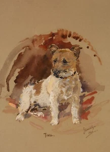 Tina the Jack Russel - Picture 1 of 1