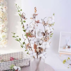 Natural Cotton Artificial Flower - 1 Piece - Picture 1 of 23