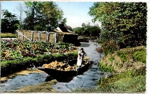 CP 80 Somme - Amiens - Les Hortillonnages IV - Picture 1 of 2
