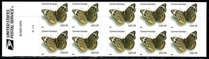 Mint US 2006 24c Common Buckeye Booklet Pane of 10 Stamp Scott# 4001B (MNH) - Picture 1 of 2