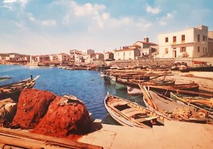 Cartolina - Sardegna Pittoresca - Stintino - Il Porticciolo - 1964 - Picture 1 of 2