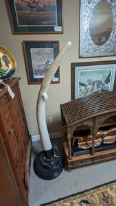 Pair of two *Fake* elephant tusks - Picture 1 of 8