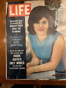 Life May 15 1964 Did You Pay Someone To Do That To Your Hair? ID:14024 - Picture 1 of 1
