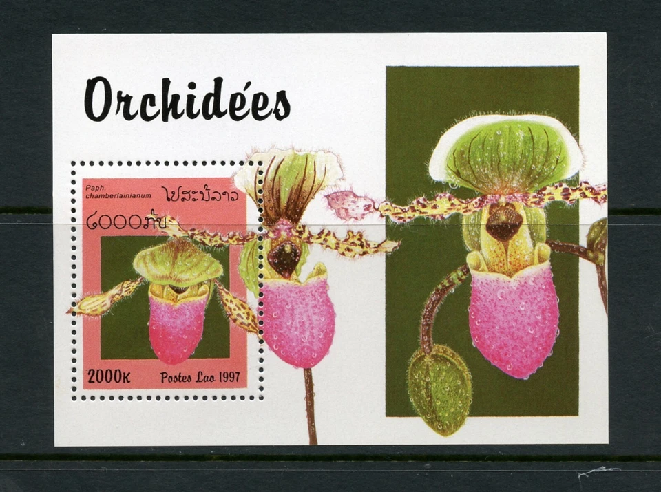 U781  Laos  1997  flora flowers Orchids    sheet   MNH - Image 1 of 1