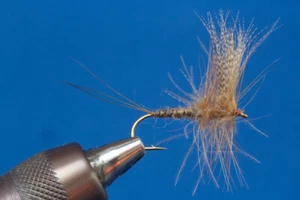 Fliegentom mosca secca - 3 pezzi marrone CDC-Drake Efemera marrone