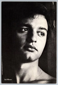 Sal Mineo, Hollywood (Foto 1963 von Roddy McDowall) 1980 Repro Postkarte - Bild 1 von 2