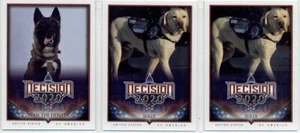 Decision Vault 2020 - Pets - 3 card lot - Picture 1 of 2
