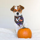 Halloween Pet Sunglasses Pumpkin Cosplay Costume Props-DI