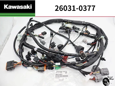 KAWASAKI Genuino 2005 2006 ZX6R ARNÉS PRINCIPAL MOTOR CABLEADO ENCHUFES COMPLETO Foto 1 de 4