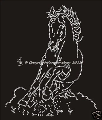 Hotfix Strass Bügelbild Bügelmotiv Pferd freier Galopp Karostonebox 120824 - Bild 1 von 2