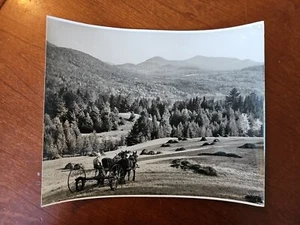 8x10 black and white photo horse drawn  hay rake farm lititz Pa Heilman mtns - Picture 1 of 5