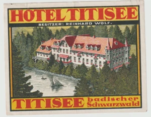 GERMANY HOTEL TITISEE BADISCHER SCWARZWALD GORGEOUS OLD LUGGAGE LABEL - Picture 1 of 1