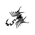 Scorpion Search - Naklejka winylowa na ścianę, samochód, iPhone, iPad, laptop, rower