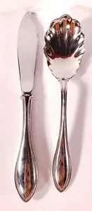 Lot Of 2 Oneida Stainless Steel Flatware Condiment Spoon & Cheese Knife - Bild 1 von 9