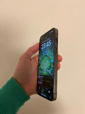 Apple iPhone 13 Pro 256GB Grey Graphite Condizione ottime non graffi - Immagine 1 di 4