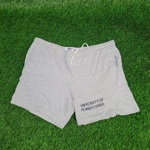 Vintage 80s Champion x Penn State Shorts M/L Gray Above-The-Knee Gym Sweatshorts Cover