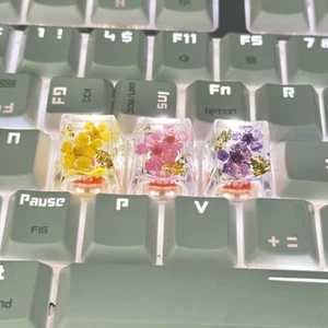 1Pcs Transparent Fleurs Sèches Keycapuchon Croisé Axe Clavier Mécanique Key Caps - Photo 1/13