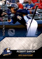 2017 Myrtle Beach Pelicans Choice #10 Robert Garcia Dominican Republic DR Card