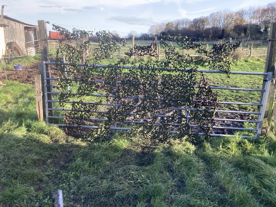 British Army Green Camo Net Aprox 9ftx7ft This Is New Net Cut Off Large Nuts - Image 1 of 1