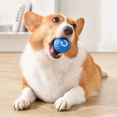 Smart interactive bite resistant pet toy ball for Cats & Dogs - USB rechargeable - Image 1 of 4