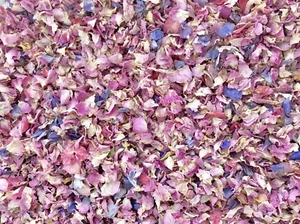 25 Guests x Biodegradable Wedding Confetti Pink Rose Mix Petals Dried Flowers - Picture 1 of 3