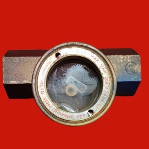 W.E. Anderson Sight Durchflussanzeiger, SFI-300-3/4 - Bild 1 von 5