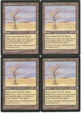 MTG Karoo x4 Visions LP