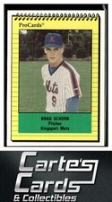 Brad Schorr 1991 ProCards #3812  Kingsport Mets