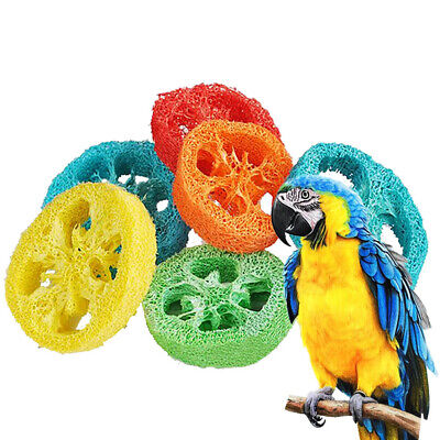 6PCS New Product Loofah Parrot Chew Toys Luffa Slices Shaped Bird Chew T-xp • 3.46€