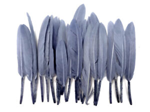 40 Feathers - Silver Gray Dyed Duck Cochettes Cosse Wing Quill Costume Supply