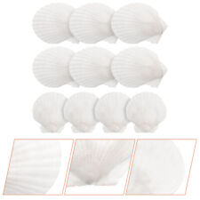  10 Pcs Natural Shell Decoration DIY Crafts Kit Small White Shells Home Scallop
