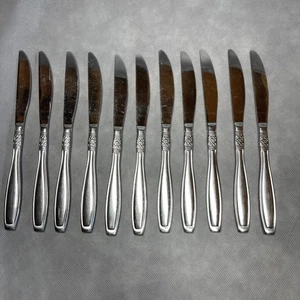 Lotto 11 posate inox Oneida VISTA contorno pergamena, coltelli da tavola, set coltelli - Foto 1 di 13