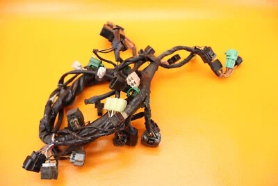 Chicote de fios Suzuki Vstrom 1000 Dl1000 2002 - 2006 - Imagem 1 de 4