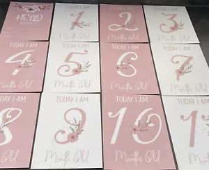 13 Stunning Baby Girl Milestone Cards - Capture Those Precious Age Moments - Picture 1 of 1